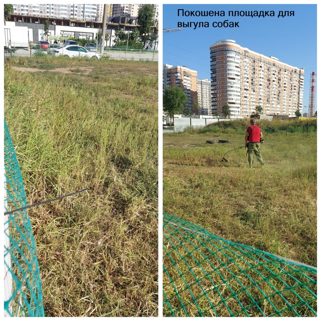 270923_Покошена площадка для выгула собак.jpg 270923_Покошена площадка для выгула собак.jpg